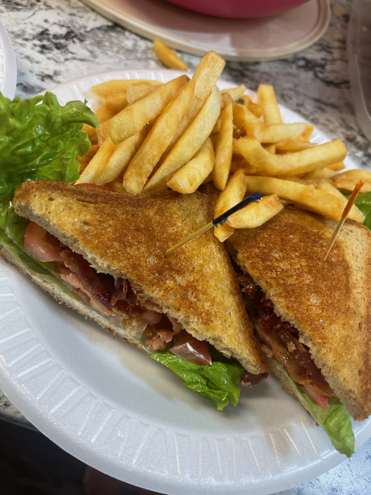 A toasted BLT sandwich with french fries
